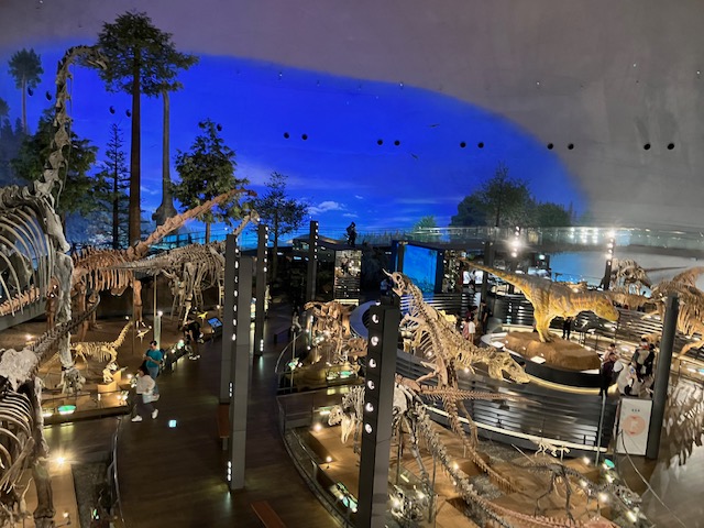 福井恐竜博物館